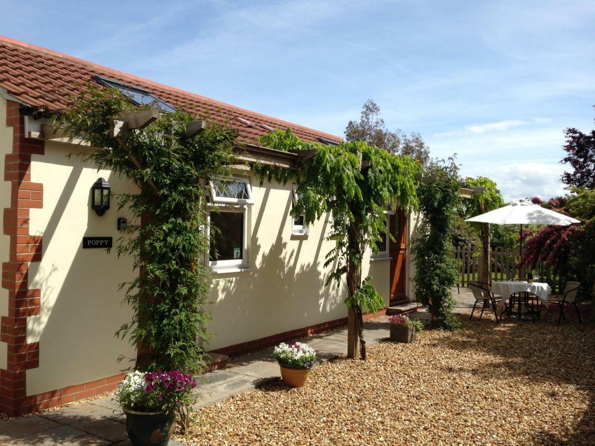 Ashford House B&B Wells Exteriör bild